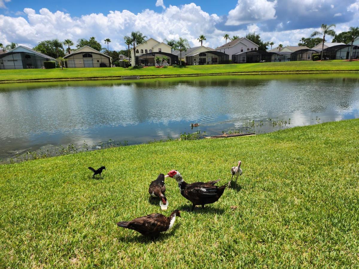 Fully Renovated, Quiet, Spacious Disney Themed Pool Home With Office Kissimmee Ngoại thất bức ảnh
